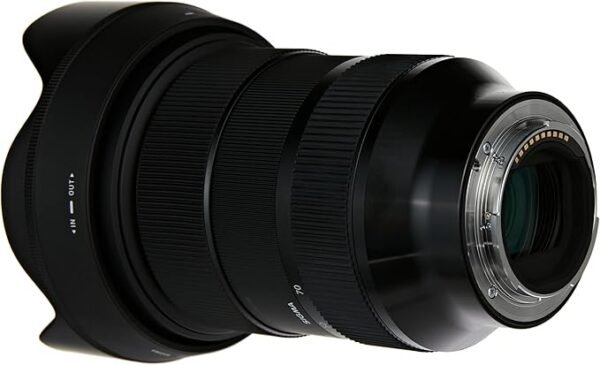 Sigma 24-70 2.8 DN - Image 4